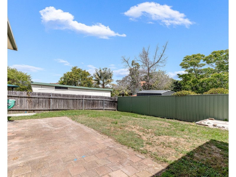 36 Carew Street, Padstow NSW 2211