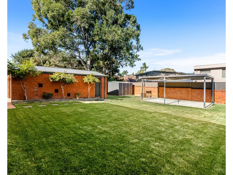 7 Dravet Street, Padstow NSW 2211