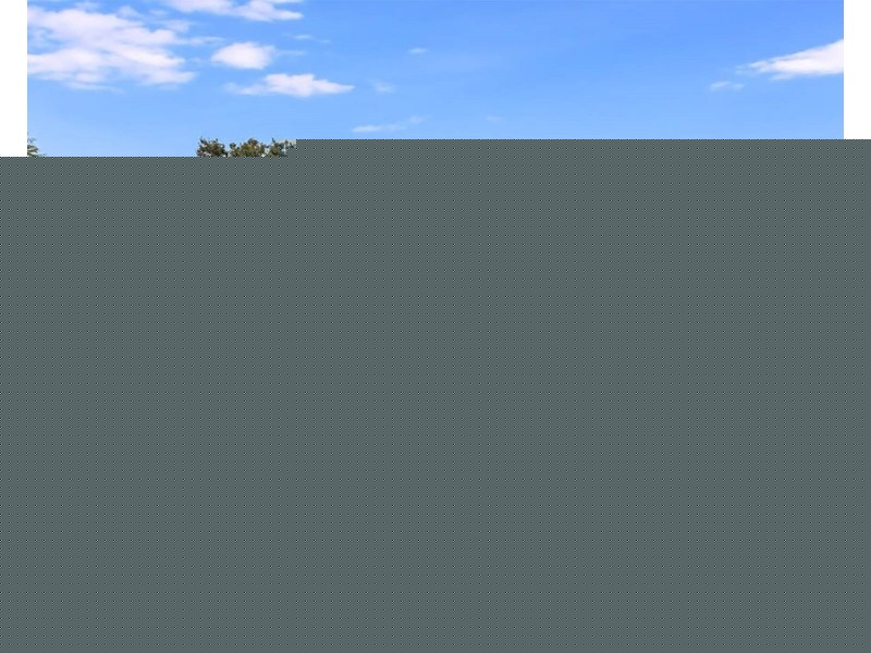 52 Hector Street, Chester Hill NSW 2162