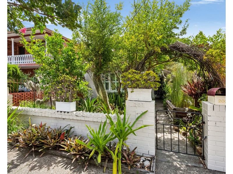 203 Wollongong Road, Arncliffe NSW 2205