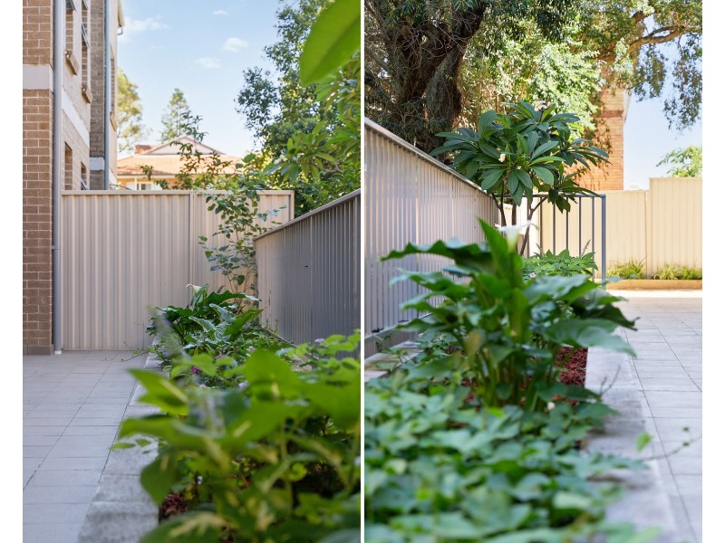 3/19 Noble Street, Allawah NSW 2218