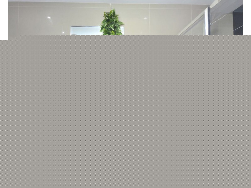 Flat 377 West Botany Street, Rockdale NSW 2216