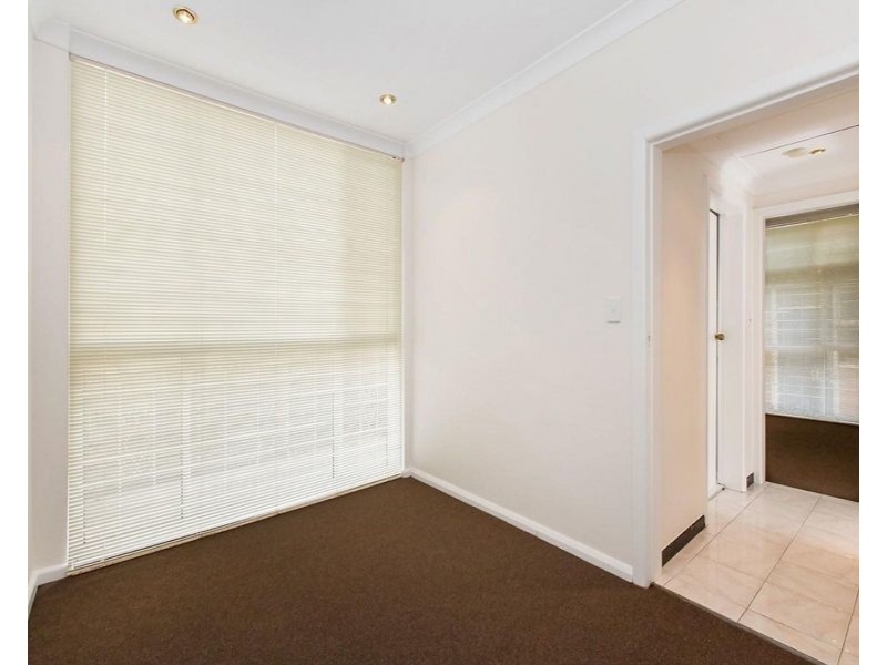 3/41A Anzac Parade, Kensington NSW 2033