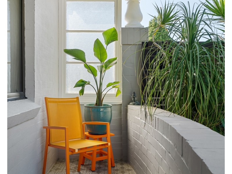 68  Dowling Street, Bardwell Valley NSW 2207