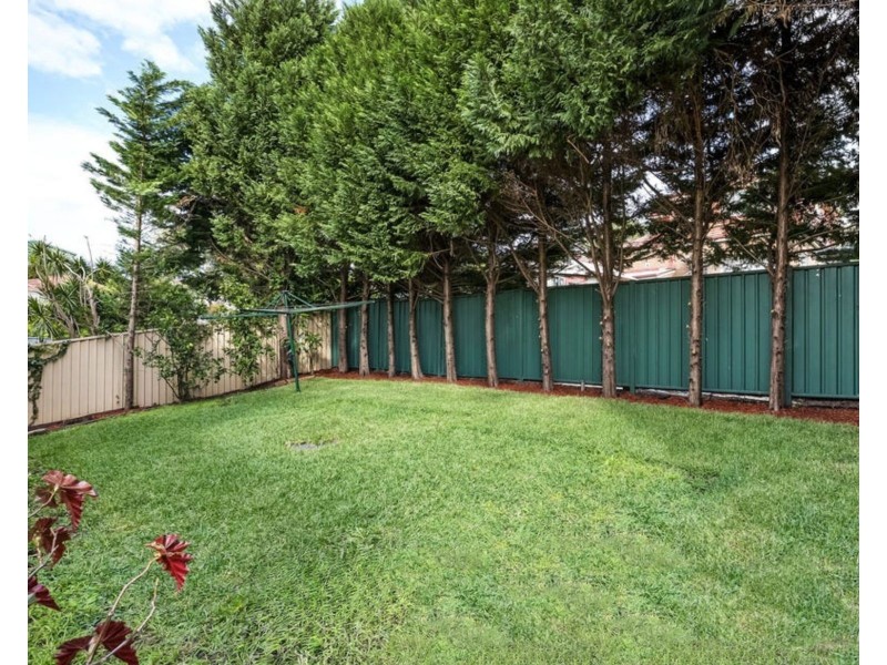 6 Bamboo Avenue, Earlwood NSW 2206