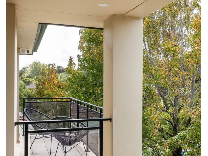 6 Bamboo Avenue, Earlwood NSW 2206