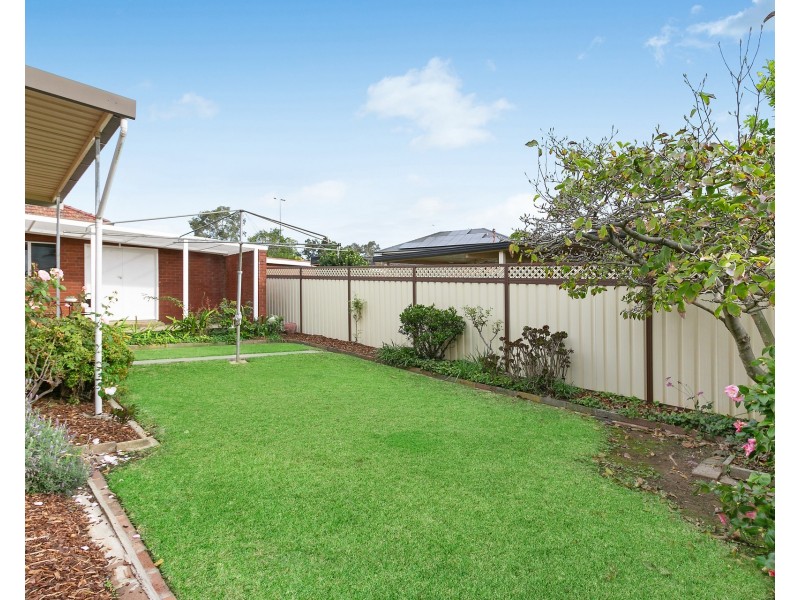 23 Cripps Avenue, Kingsgrove NSW 2208