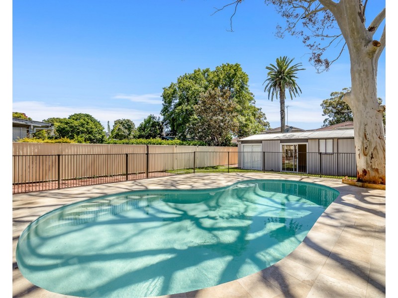 36  Arthur Street, Carlton NSW 2218