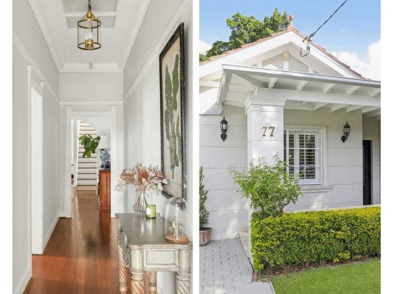 77 Abercorn Street, Bexley NSW 2207