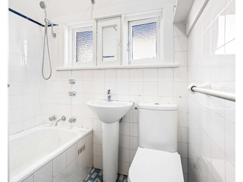 29 Liney Avenue, Clemton Park NSW 2206