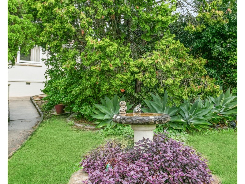 44 Parry Avenue, Narwee NSW 2209