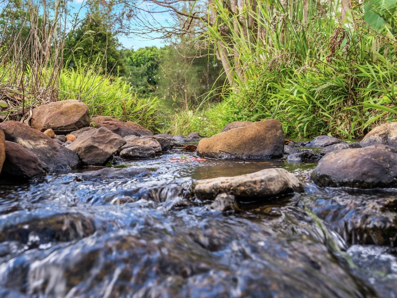 Clover Hill Circuit, Bangalow NSW 2479