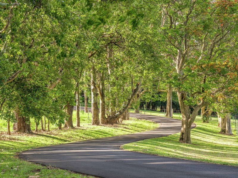 219 Old Byron Bay Road, Newrybar NSW 2479