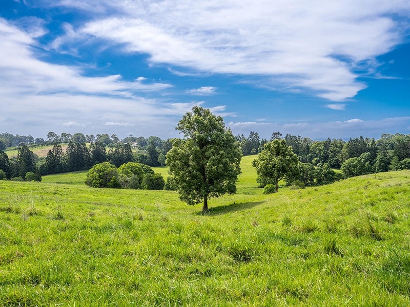 219 Old Byron Bay Road, Newrybar NSW 2479