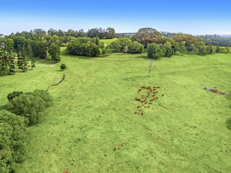 219 Old Byron Bay Road, Newrybar NSW 2479