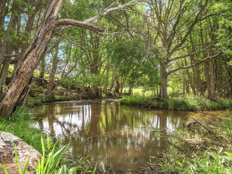 219 Old Byron Bay Road, Newrybar NSW 2479