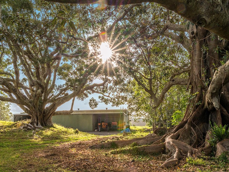 219 Old Byron Bay Road, Newrybar NSW 2479