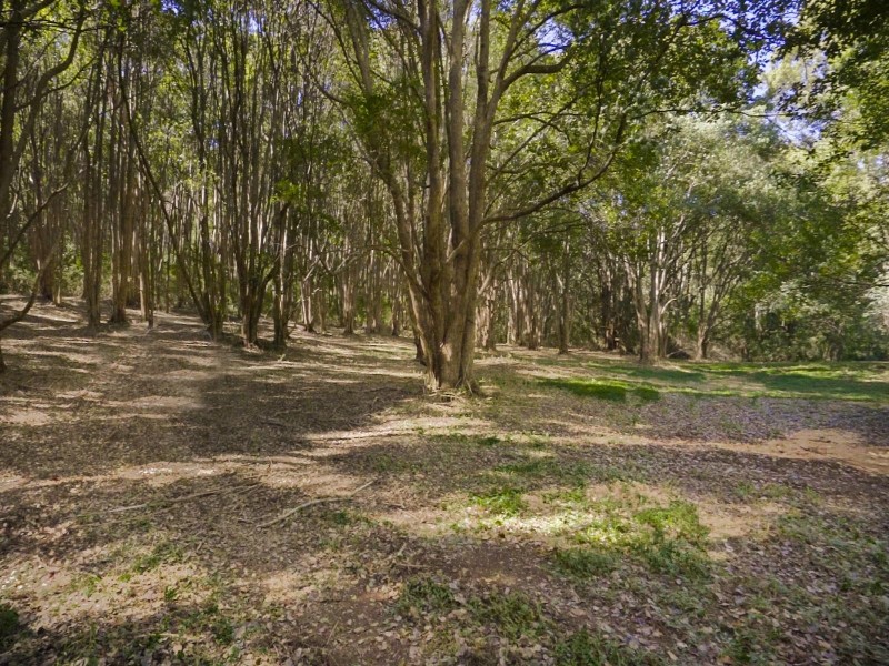 146 Waltons Road, Federal NSW 2480