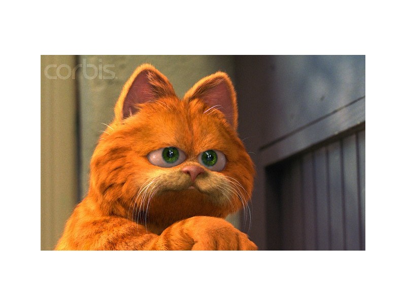 1/5 Garfield St, Nundah QLD 4012