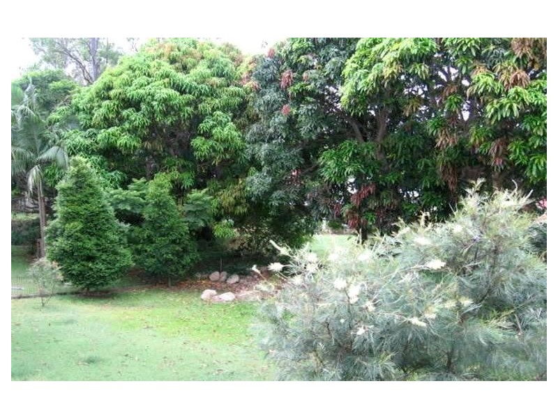 22b Madsen St, Keperra QLD 4054