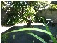 Ashgrove QLD 4060