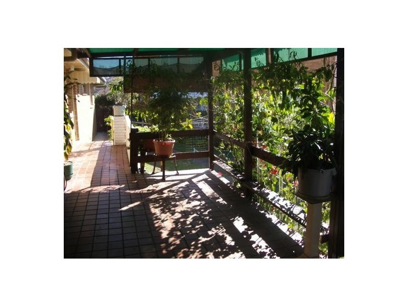 11 Janie Street, Aspley QLD 4034