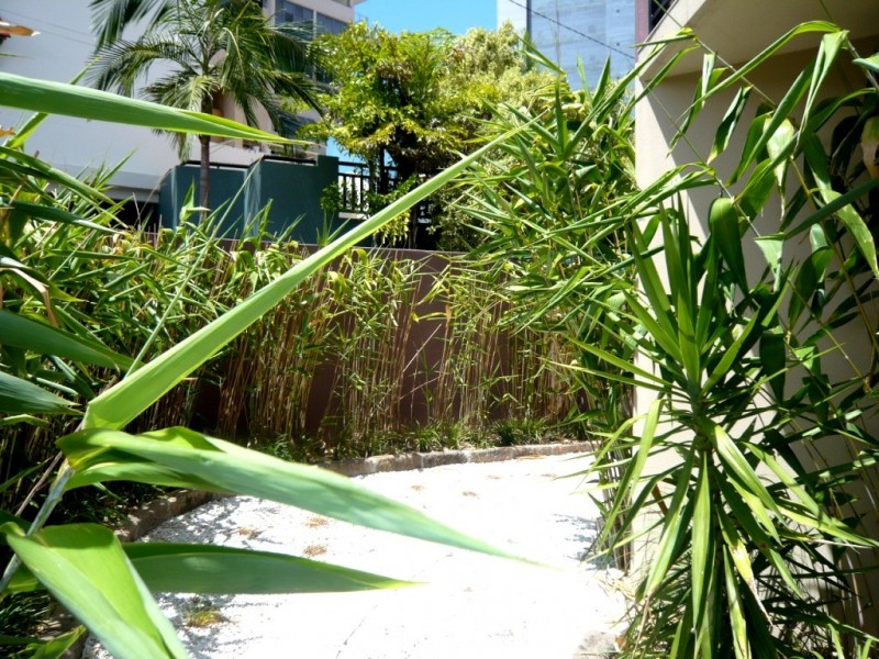 29 Terrace St, Spring Hill QLD 4000