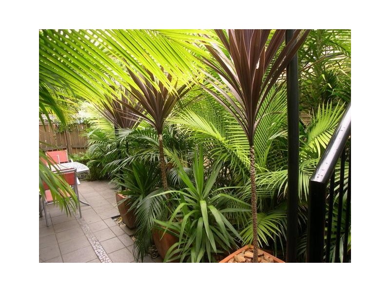 Greenslopes QLD 4120