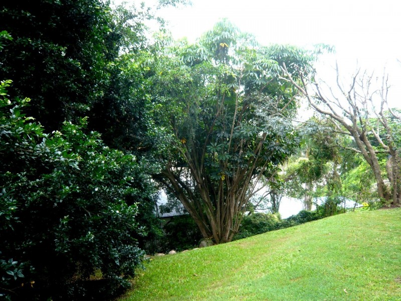 63 Moray St, New Farm QLD 4005