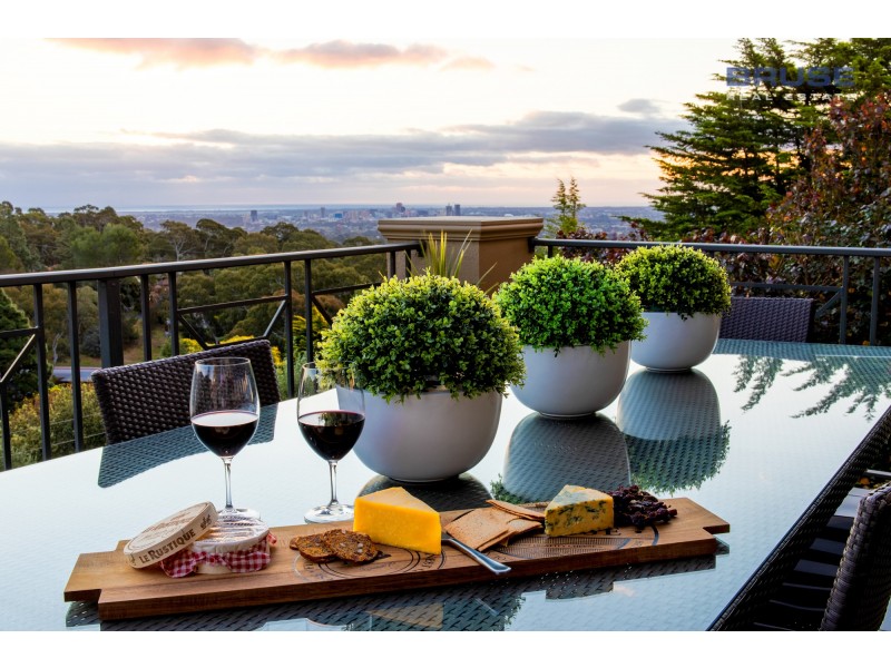 19 Gandys Gully Road, Stonyfell SA 5066