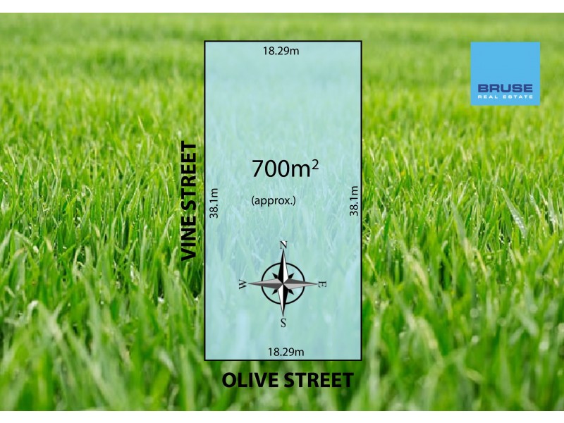 1 Olive Street (Corner of Vine Street), Magill SA 5072