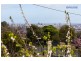 76 Dashwood Road, Beaumont SA 5066