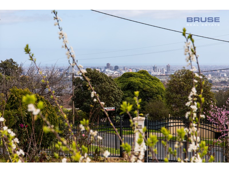 76 Dashwood Road, Beaumont SA 5066