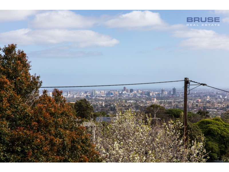 76 Dashwood Road, Beaumont SA 5066
