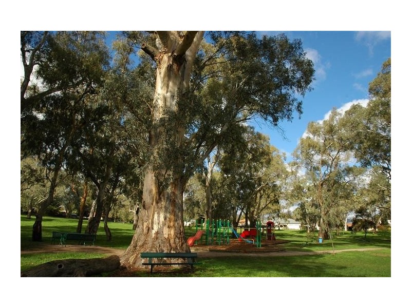 15 & 15B Second Street, Magill SA 5072