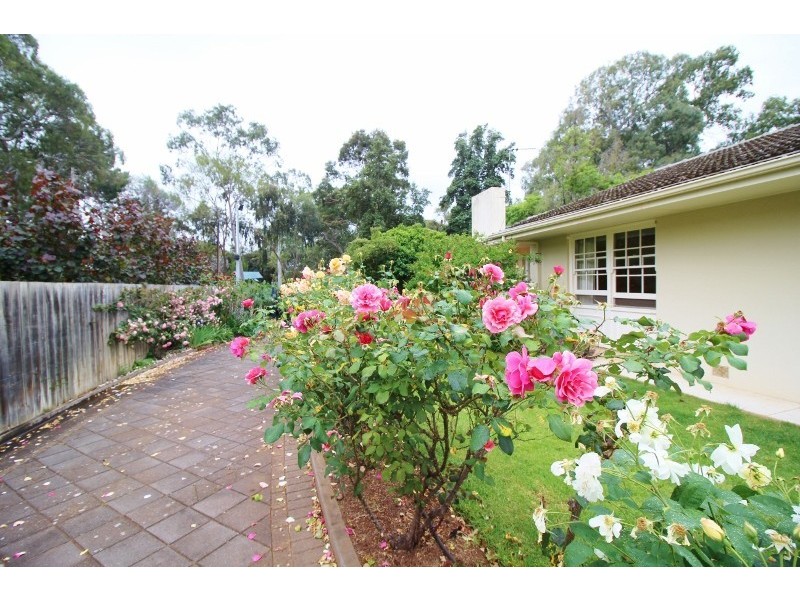 2A Addiscombe Place, Unley Park SA 5061