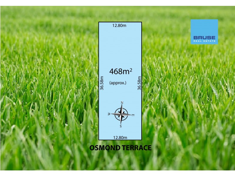 10 Osmond Terrace, Fullarton SA 5063