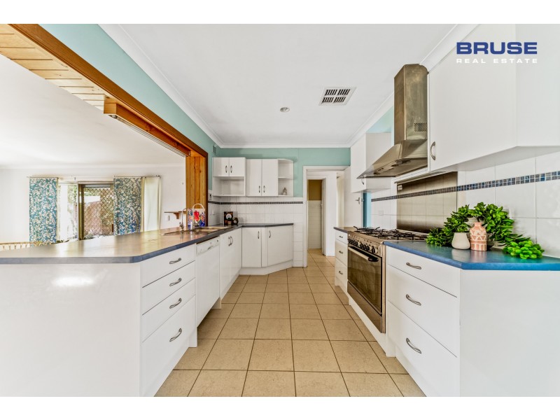 25 Andrea Avenue, Newton SA 5074