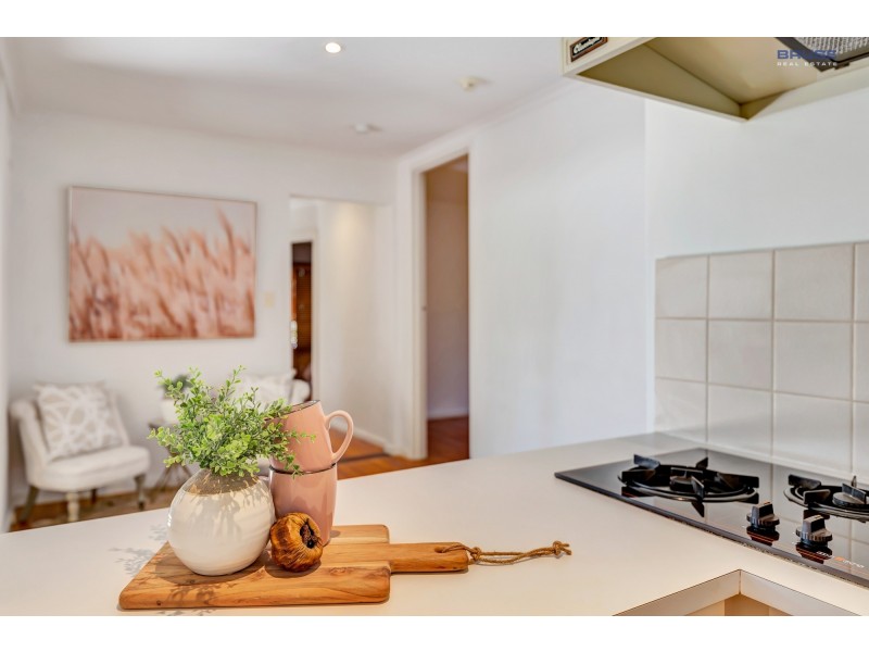 24 Greenbank Road, Athelstone SA 5076