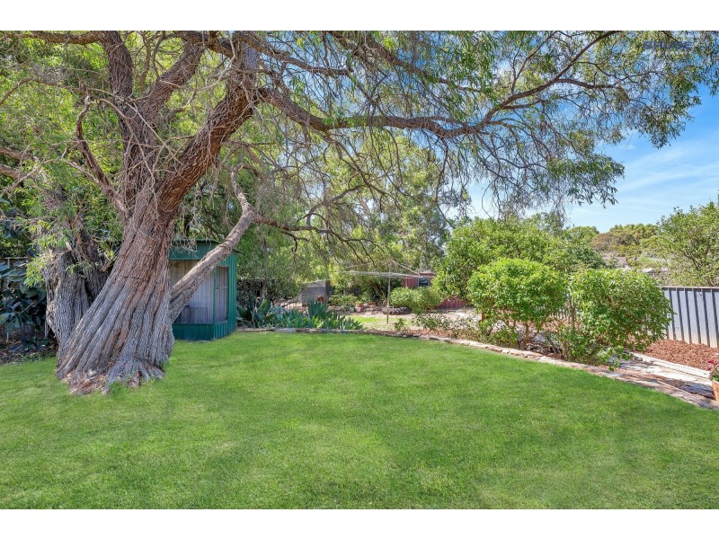 24 Greenbank Road, Athelstone SA 5076