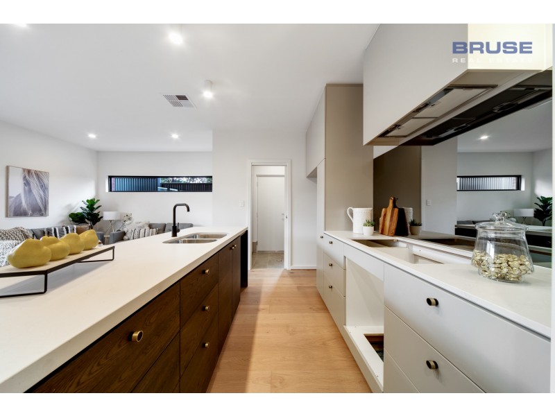 19D Carter Street, Magill SA 5072