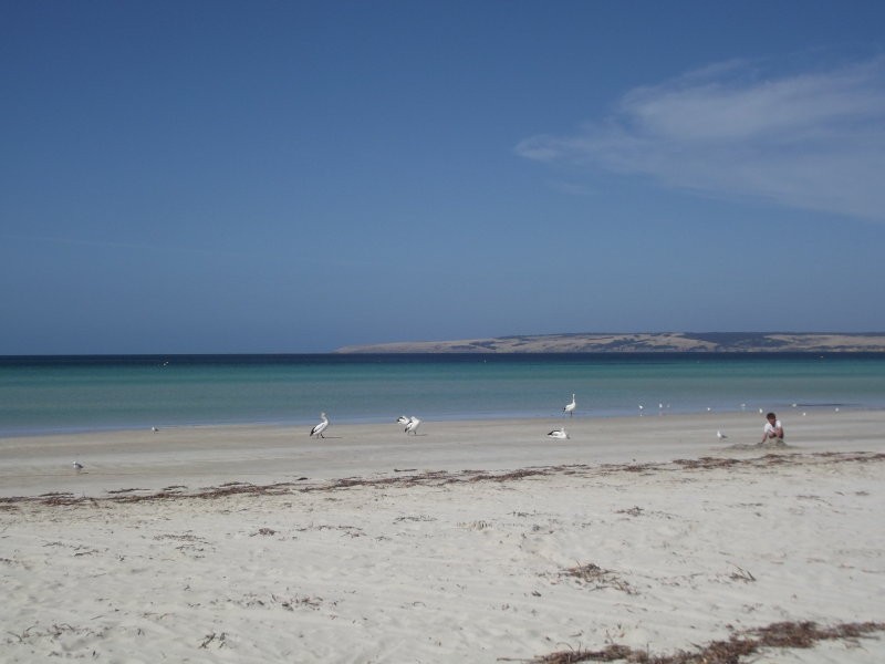 172 Borda Road, Island Beach SA 5222