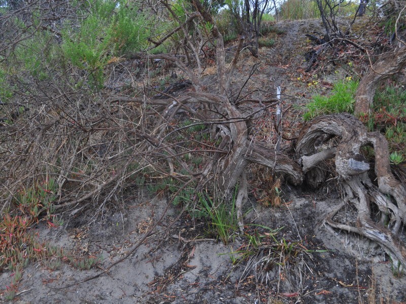 172 Borda Road, Island Beach SA 5222