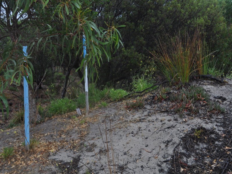 172 Borda Road, Island Beach SA 5222