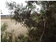 159 Investigator Avenue, Kingscote SA 5223