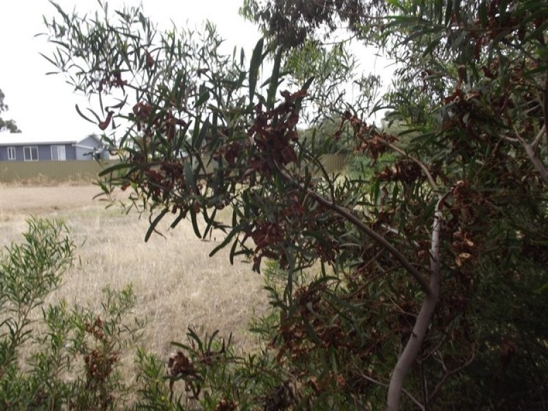 159 Investigator Avenue, Kingscote SA 5223