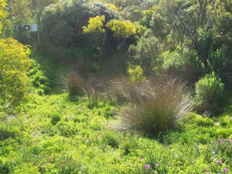 75 Flinders Grove, Island Beach SA 5222