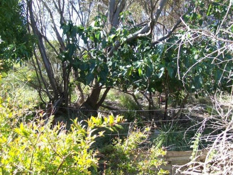 160 North South Road, Dudley West SA 5222