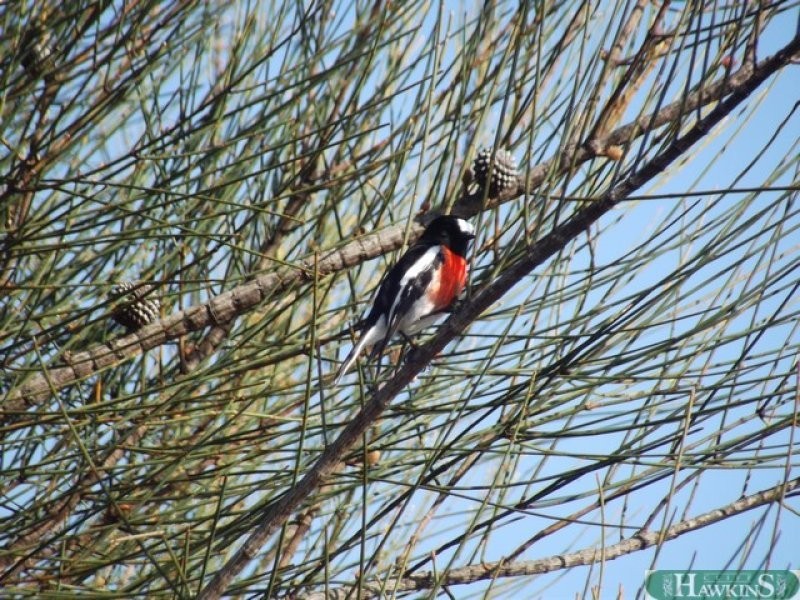 218 Sea Vista Road, Nepean Bay SA 5223