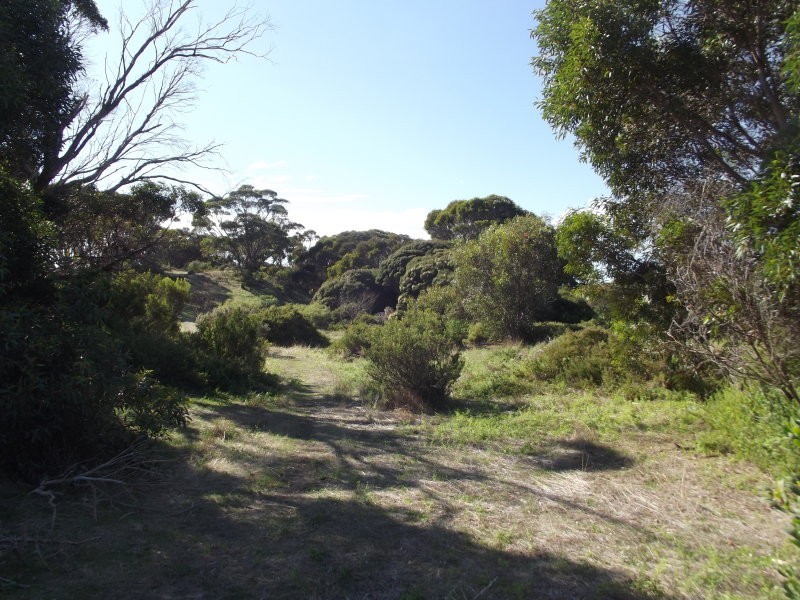 3 Hog Bay Road, Baudin Beach SA 5222